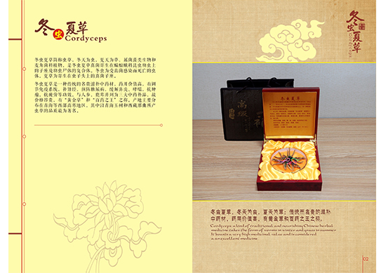 &#107;&#97;&#105;&#121;&#117;&#110;&#24179;&#21488;&#45;&#107;&#97;&#105;&#121;&#117;&#110;&#40;&#20013;&#22269;&#41;&#19968;&#31449;&#24335;&#26381;&#21153;&#24179;&#21488;