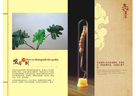 &#107;&#97;&#105;&#121;&#117;&#110;&#24179;&#21488;&#45;&#107;&#97;&#105;&#121;&#117;&#110;&#40;&#20013;&#22269;&#41;&#19968;&#31449;&#24335;&#26381;&#21153;&#24179;&#21488;