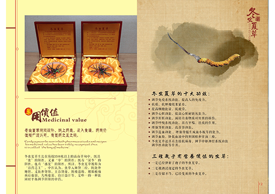 &#107;&#97;&#105;&#121;&#117;&#110;&#24179;&#21488;&#45;&#107;&#97;&#105;&#121;&#117;&#110;&#40;&#20013;&#22269;&#41;&#19968;&#31449;&#24335;&#26381;&#21153;&#24179;&#21488;