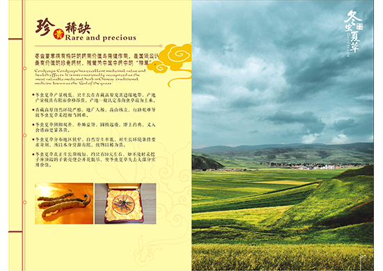 &#107;&#97;&#105;&#121;&#117;&#110;&#24179;&#21488;&#45;&#107;&#97;&#105;&#121;&#117;&#110;&#40;&#20013;&#22269;&#41;&#19968;&#31449;&#24335;&#26381;&#21153;&#24179;&#21488;
