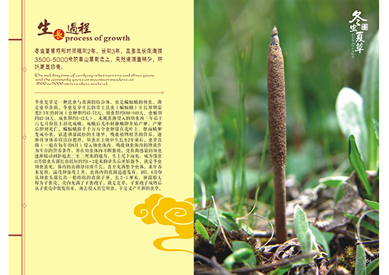 &#107;&#97;&#105;&#121;&#117;&#110;&#24179;&#21488;&#45;&#107;&#97;&#105;&#121;&#117;&#110;&#40;&#20013;&#22269;&#41;&#19968;&#31449;&#24335;&#26381;&#21153;&#24179;&#21488;
