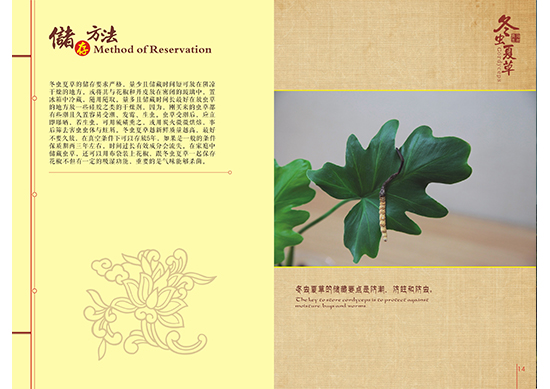 &#107;&#97;&#105;&#121;&#117;&#110;&#24179;&#21488;&#45;&#107;&#97;&#105;&#121;&#117;&#110;&#40;&#20013;&#22269;&#41;&#19968;&#31449;&#24335;&#26381;&#21153;&#24179;&#21488;